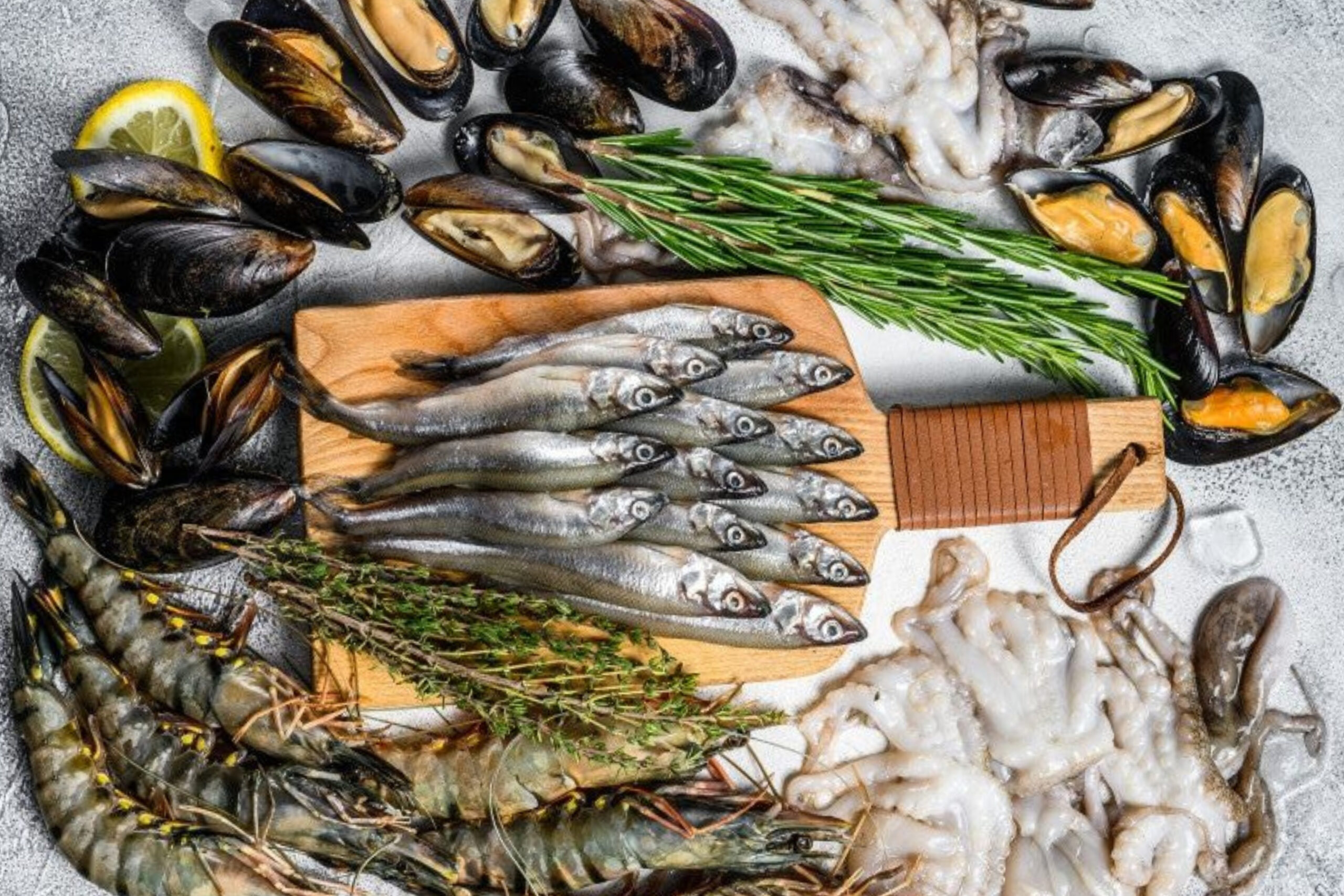 Frozen fish and mussels supplier in Qatar